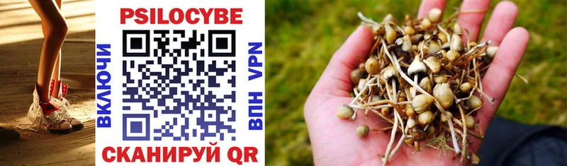 наркошоп  кракен зеркало  Галлюциногенные грибы Psilocybe  Волхов 