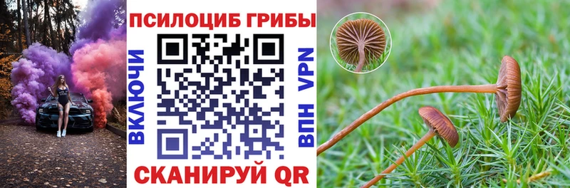 Галлюциногенные грибы мухоморы Волхов